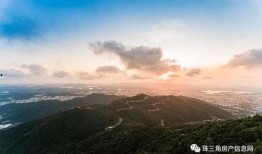 揭阳人民热线爆料案件最新,案件追踪，真相大白！